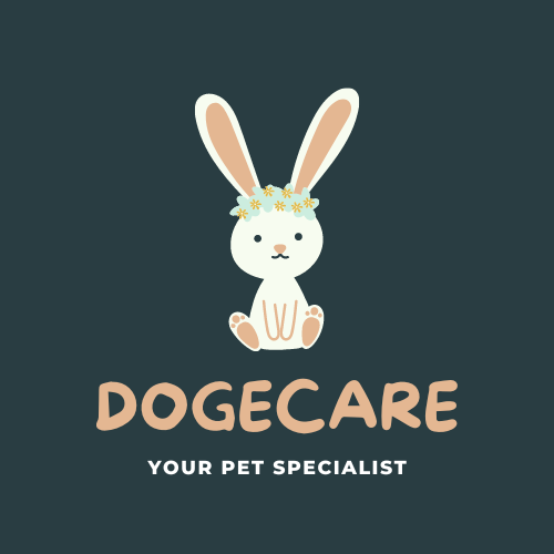 Doge Care